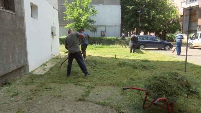 COSITUL IERBII, O ADEVĂRATĂ PROVOCARE .Still001