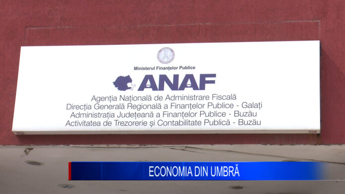ECONOMIA DIN UMBRĂ